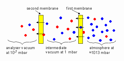 Double membrane schematic