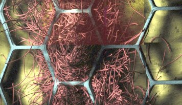 Chemical image of fibre sample