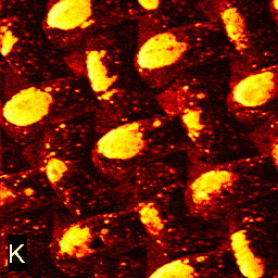 Images from positive ions